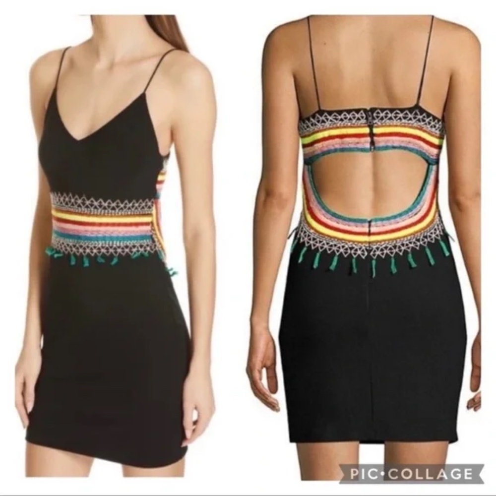 Alice & Olivia Loralee Embroidered Mini Dress in Black Multi